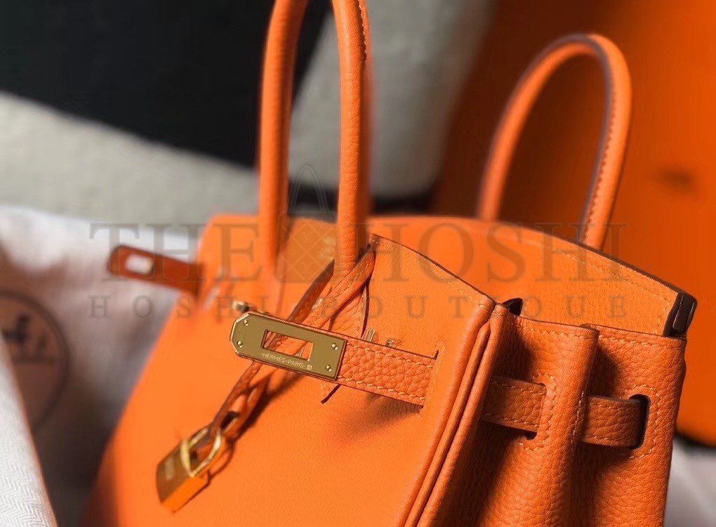 H**me5 Birkin 25cm Bag In Orange Clemence Leather Master Quality