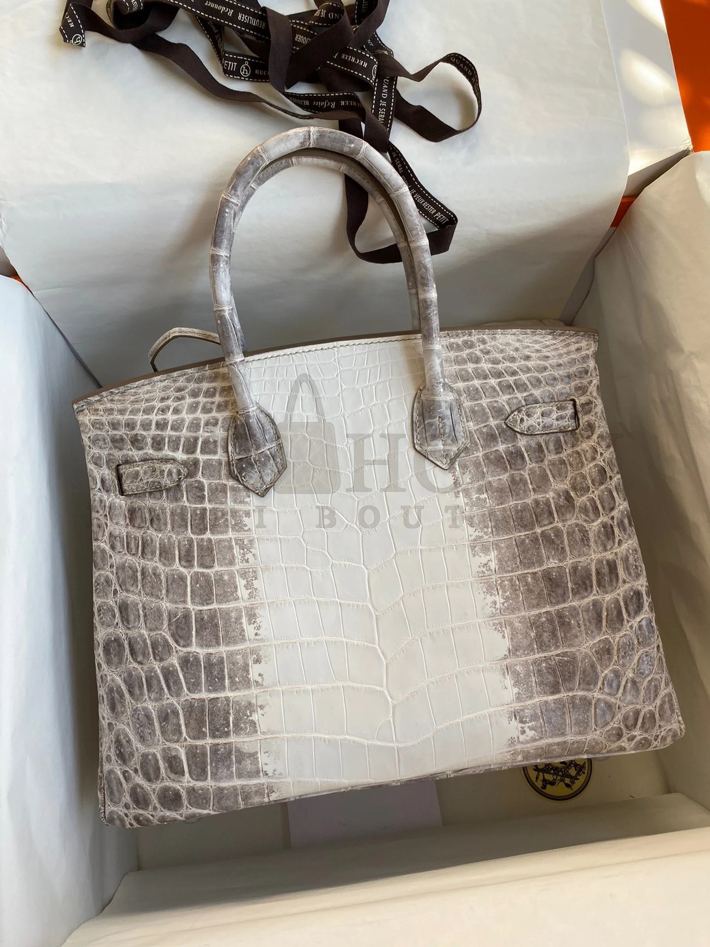 H**me5 Birkin 25 Retourne Bag In Himalaya Niloticus Crocodile Skin Master Quality