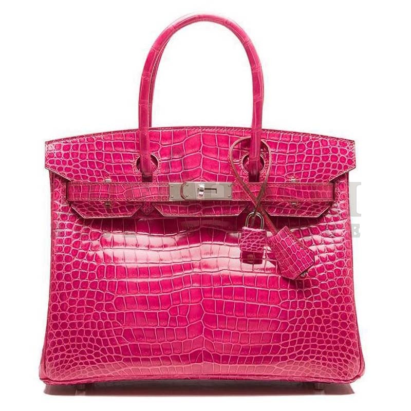 H**me5 Birkin 30 Bag in Alligator Leather with Gold Hardware Master Quality