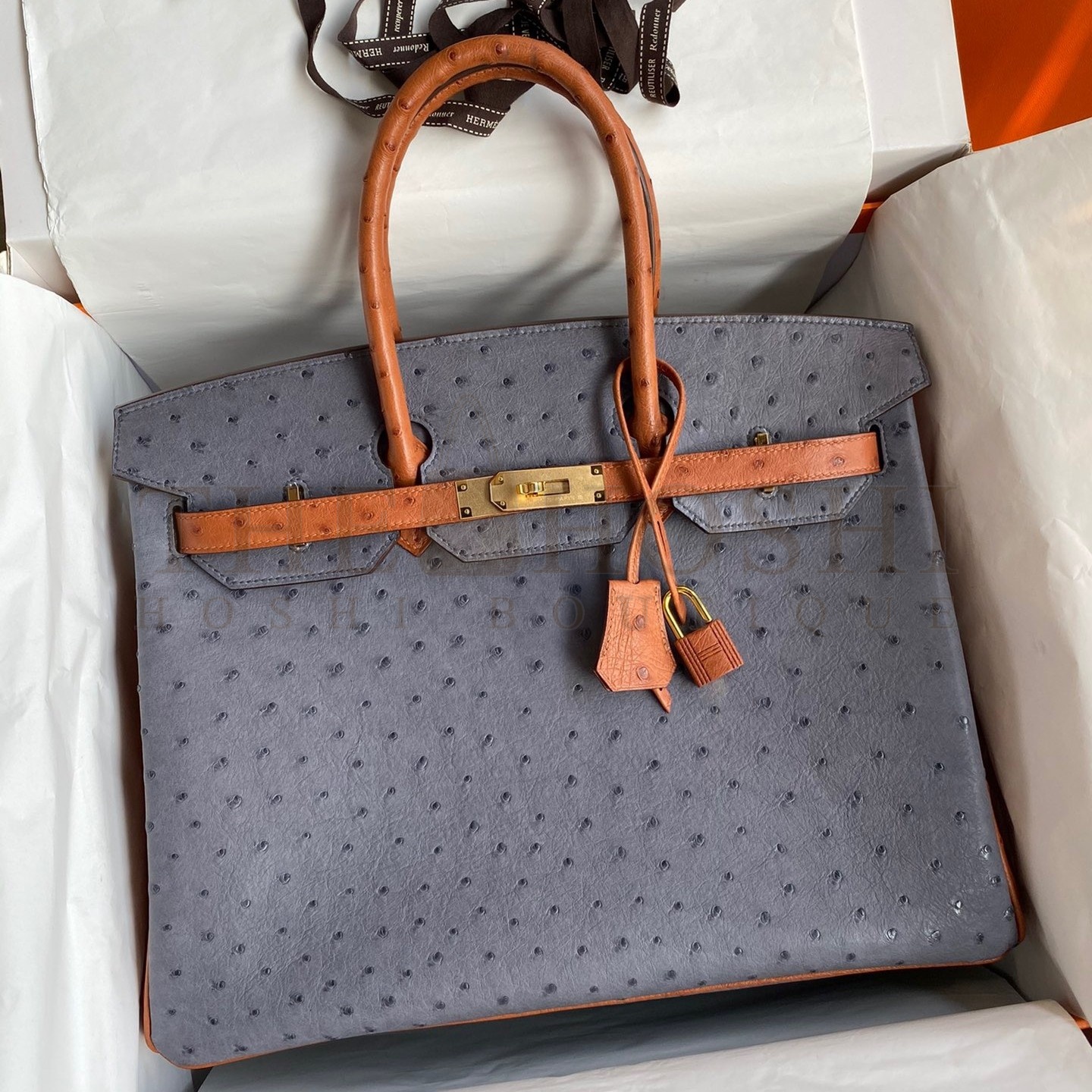 H**me5 HSS Birkin 35 Bicolor Bag in Gris Agate and Gold Ostrich Leather Master Quality