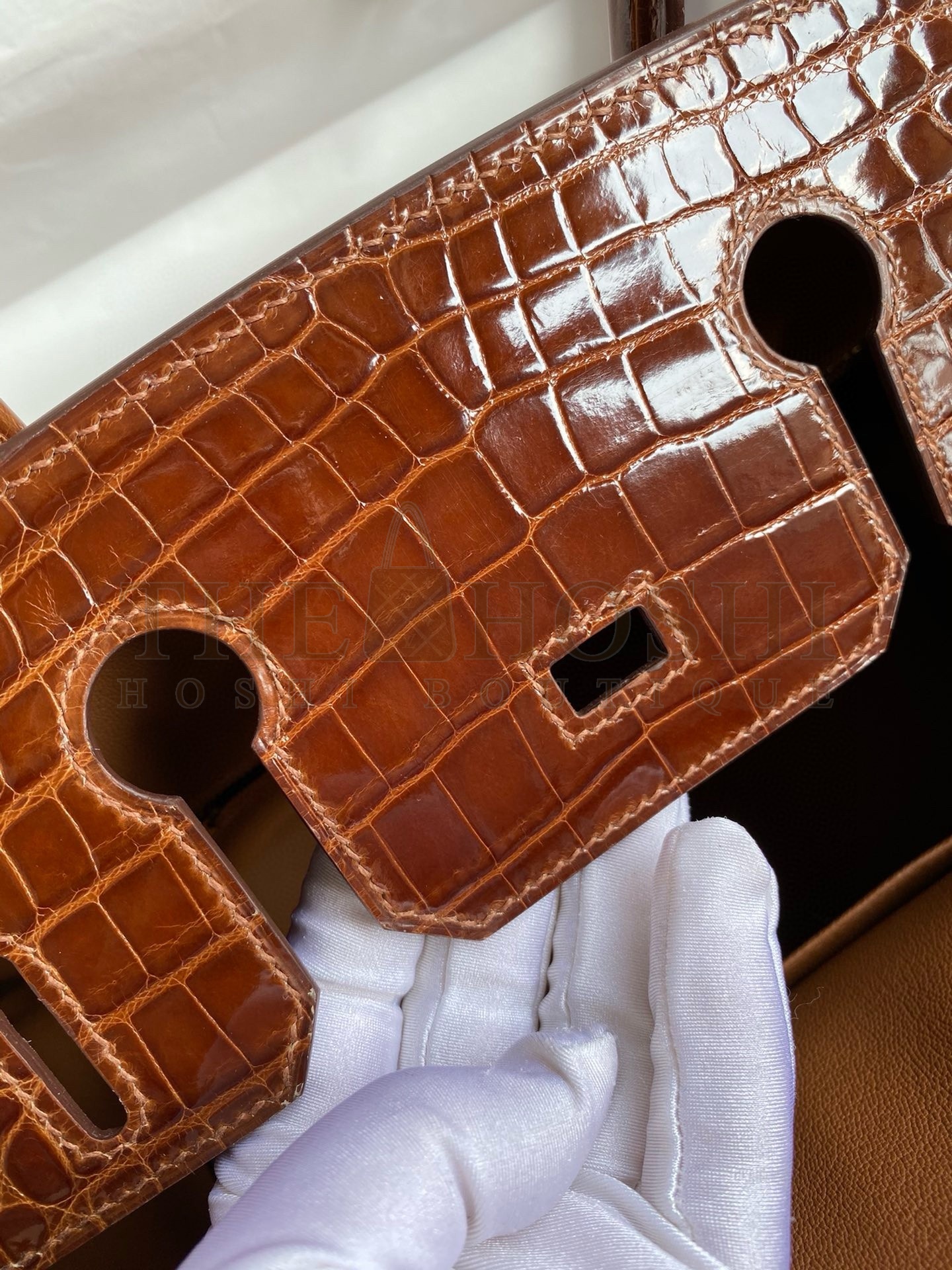 H**me5 Touch Birkin 30 Bag In Gold Clemence and Shiny Niloticus Crocodile Skin Master Quality