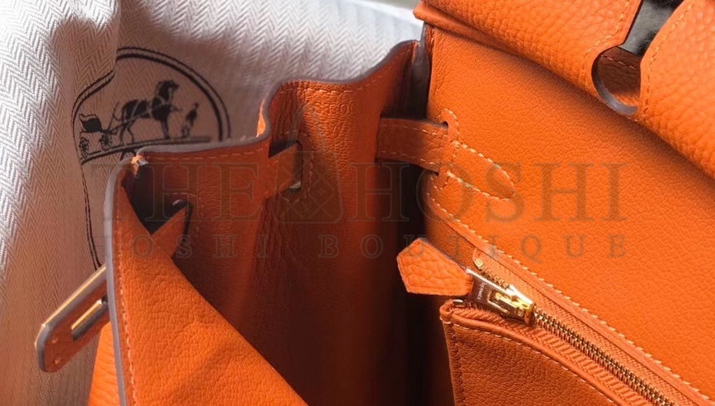 H**me5 Birkin 25 Bag In Orange Clemence Leather with GHW Master Quality