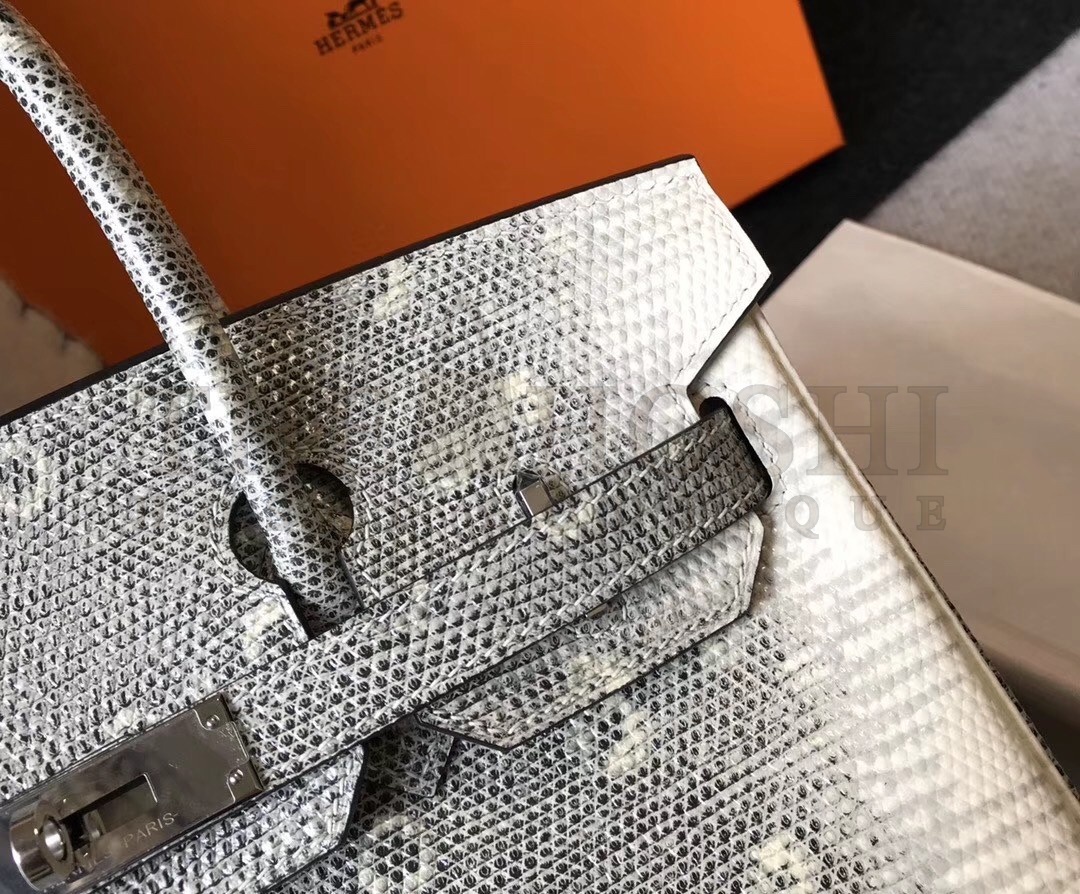 H**me5 Birkin 30cm Bag In Ombre Embossed Natural Lizard Master Quality