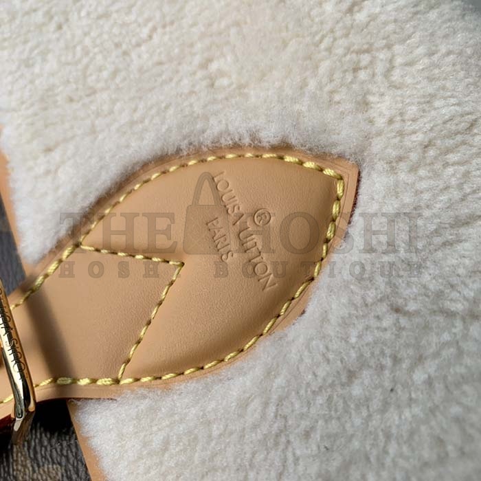 L0vis Vvtt0n LV Women Diane Handbag Beige Brown Monogram Coated Canvas Shearling Master Quality