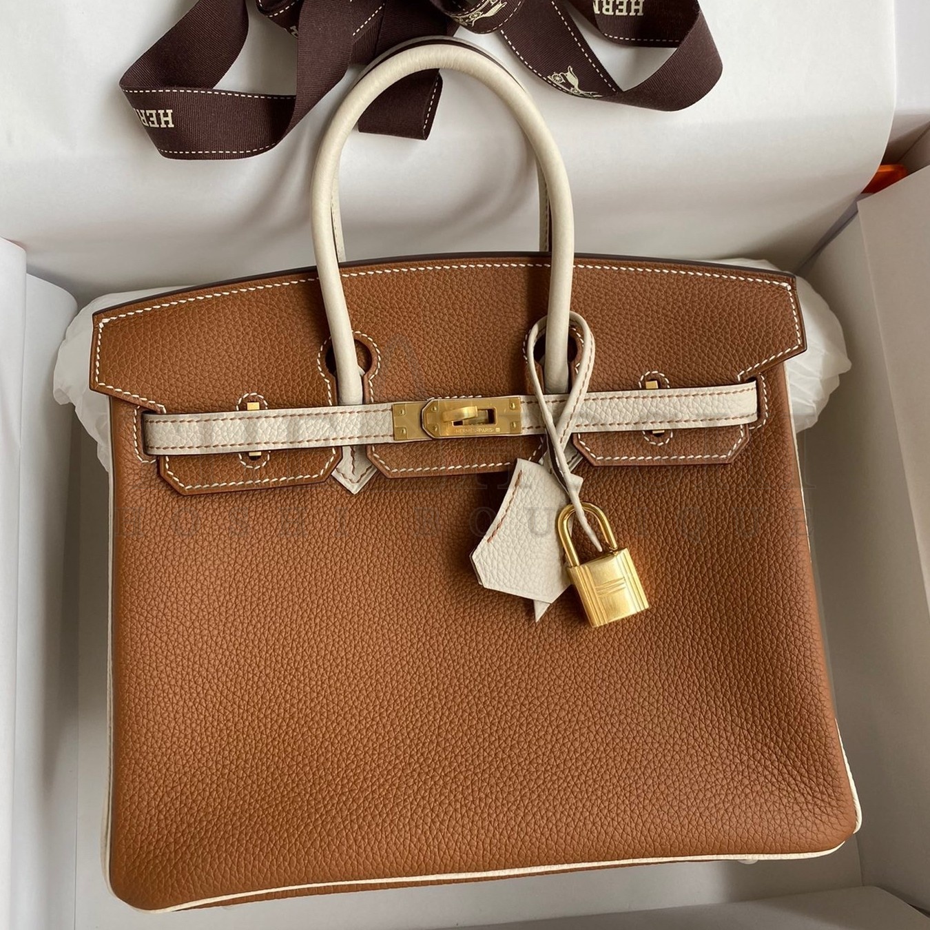 H**me5 HSS Birkin 25 Bicolor Bag in Gold and Craie Clemence Leather Master Quality