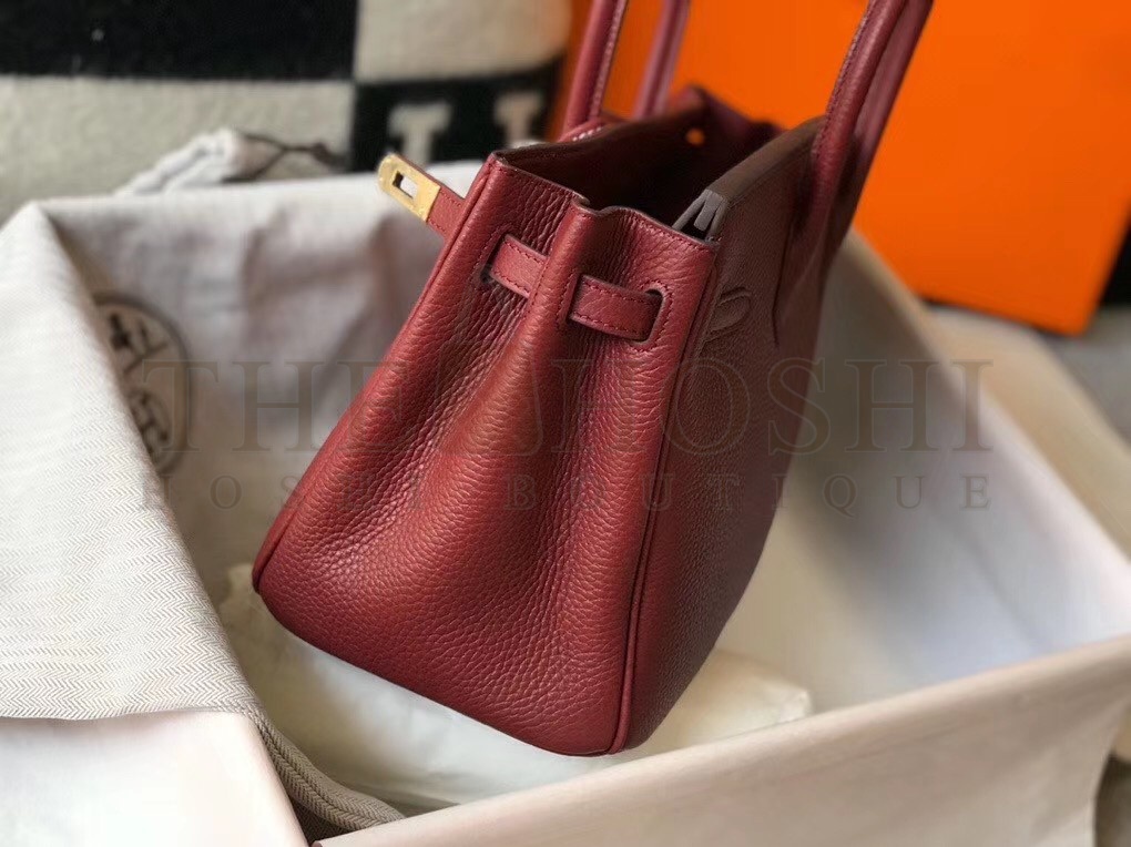 H**me5 Birkin 25 Bag In Bordeaux Clemence Leather with GHW Master Quality