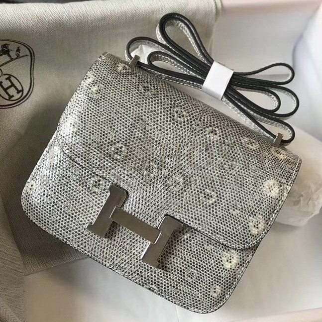 H**me5 Constance 18cm Bag In Ombre Embossed Natural Lizard Master Quality