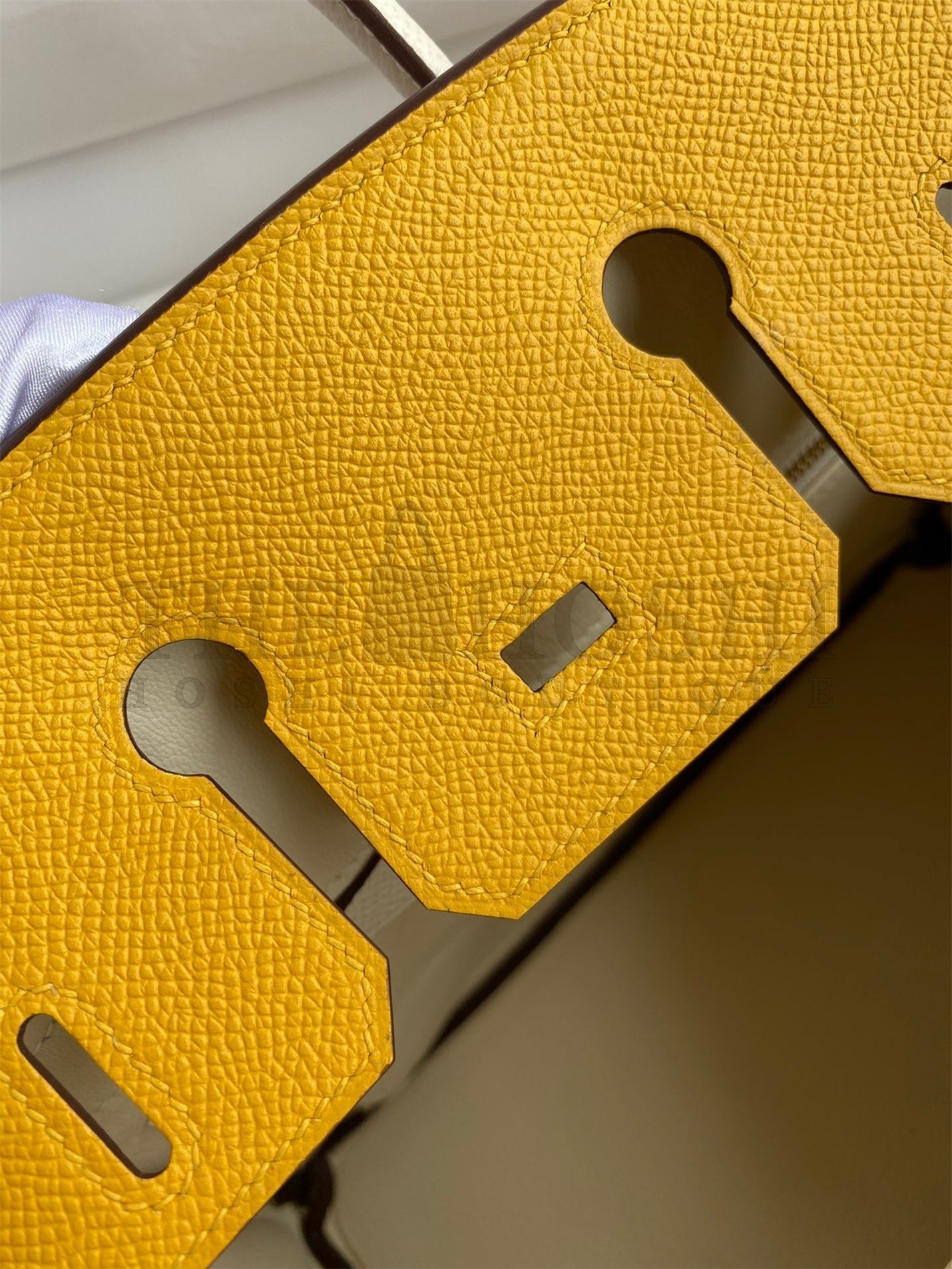 H**me5 HSS Birkin 25 Bicolor Bag in Jaune d