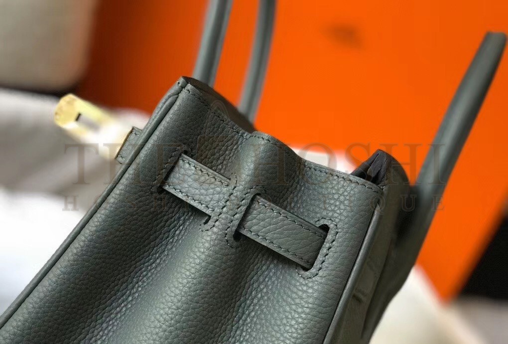 H**me5 Birkin 35 Bag in Vert Amande Clemence Leather with GHW Master Quality
