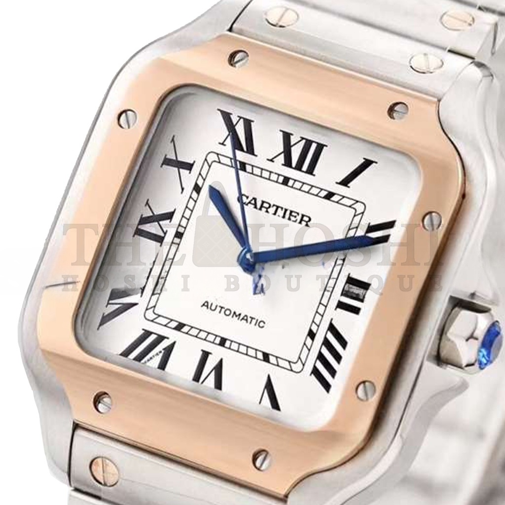 Ca*t1er SANTOS DE 38MM WATCH W2SA0006 Master Quality